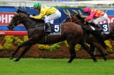 Hinchinbrook on Track for Slipper