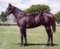 Two State Metropolitan Double for Catbird
