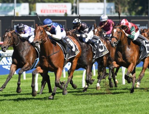 Kristilli’s sister salutes – full brother Inglis Premier