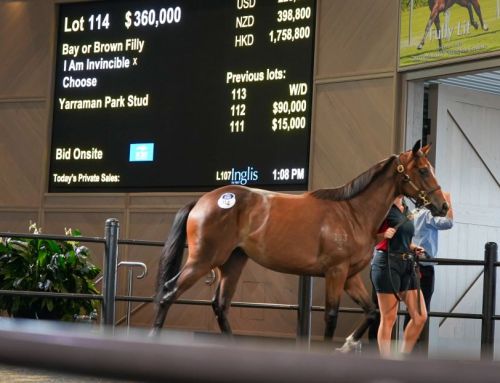 $360,000 for I Am Invincible filly at Classic Day 1