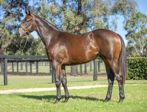 Lot 1599: I Am Invincible x Crystal Whip colt