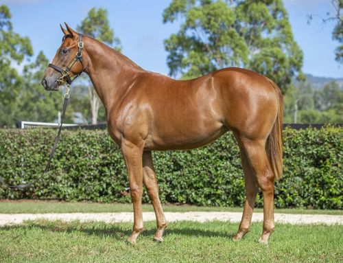 Lot 164: Exceed And Excel x More Cheers filly