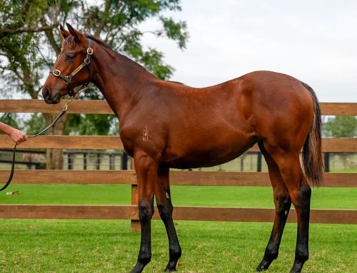 $575,000 I Am Invincible Filly Tops Inglis Weanlings Day 1