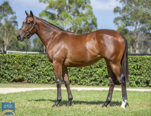Yarraman Graduate Point Barrow Wins G3 How Now
