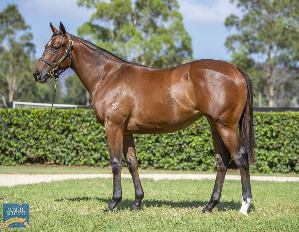 G1 Target for Yarraman Graduate Point Barrow 