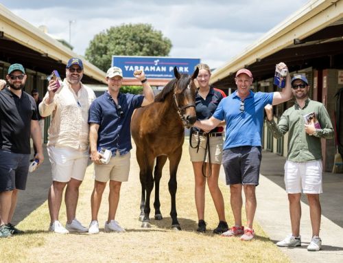 Hellbent 3YO wins $250,000 Magic Millions Maiden – brother for MM