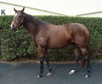 $800,000 for Banc de Fortune