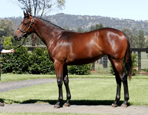 Metro Win for Gypsy Googol