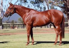 14 Winners for Magic Albert