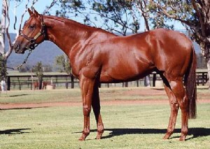 14 Winners for Magic Albert