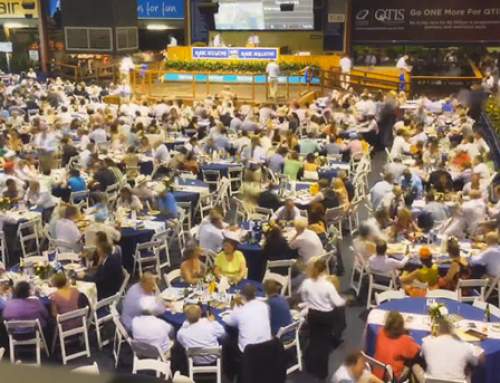 2015 Magic Millions Weanlings draft