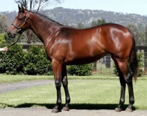 Metro Win for Manzanilla