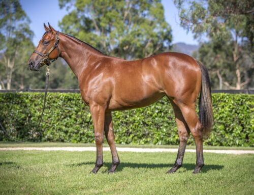 G1 Potential – Home Affairs Filly Dazzles in G3 Quezette