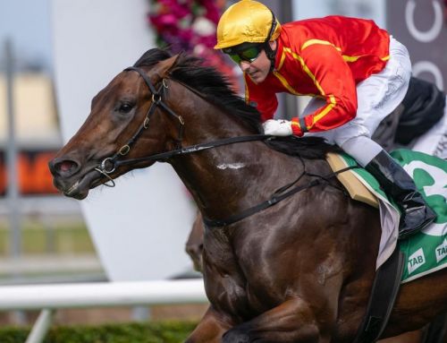 New Juvenile Stakes-Winner for I am Invincible