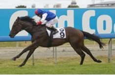 Number One Gun Salutes on MM Day
