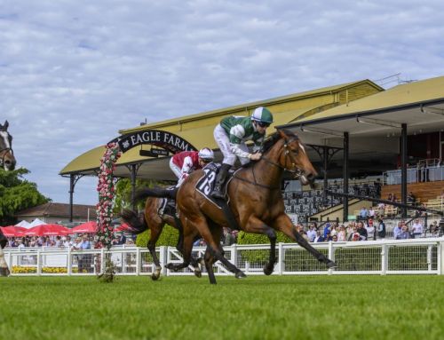 Hellbent’s Sunrays shines with consecutive Stakes wins