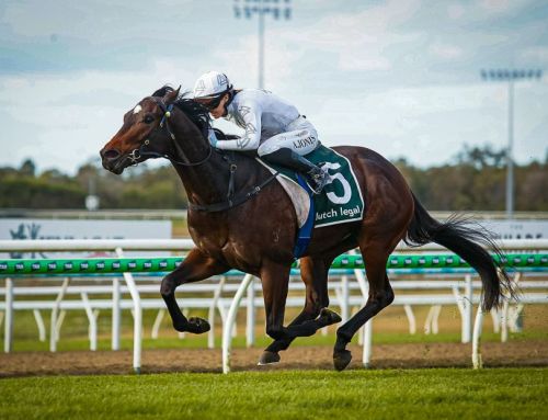 Invincible 3YO wins G3 Winx Guineas