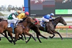 Deserved Stakes Win for Rewaaya