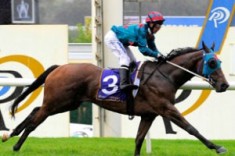 Stakes Double for Magic Albert