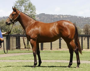Snitzel Half-Sister Breaks Maiden
