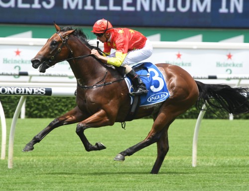 Invincible Colt on Target for Blue Diamond