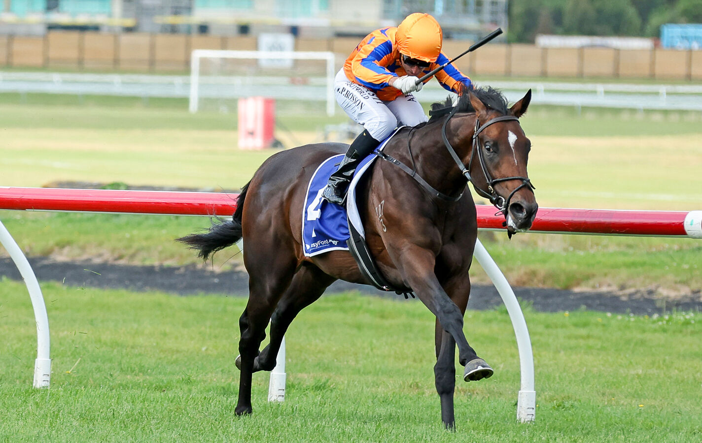 2YO Invincible colt scores dazzling G1 victory