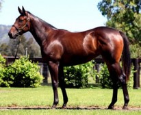 Sables Breaks Through