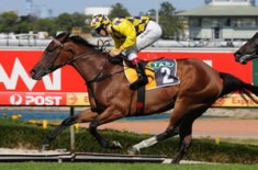 Sequinella Resumes in Style