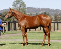 Six Straight for Simplest and Sydney Next