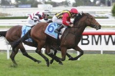 Group One Goal for Soft Sand