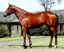 Song Shan Heading to Queensland