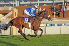 Aussie Group Two Winner in South Africa