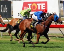 Hat-Trick for Too Many Reds