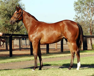 Stylish Sandown Win for Viennese