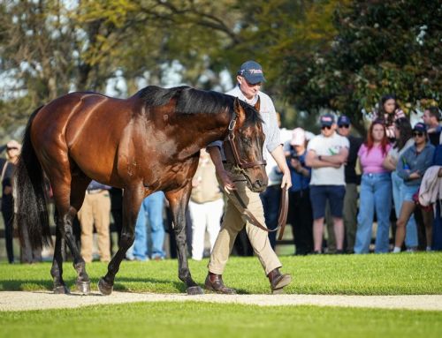 Promising Invincible Mares Impress