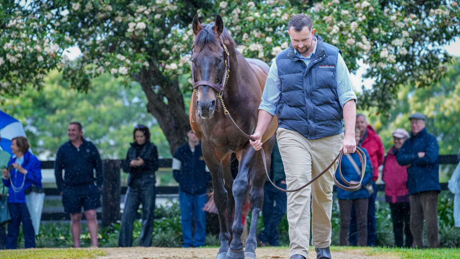 Invincible Filly a Promising Debut Winner 