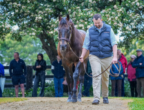 Invincible Filly a Promising Debut Winner 