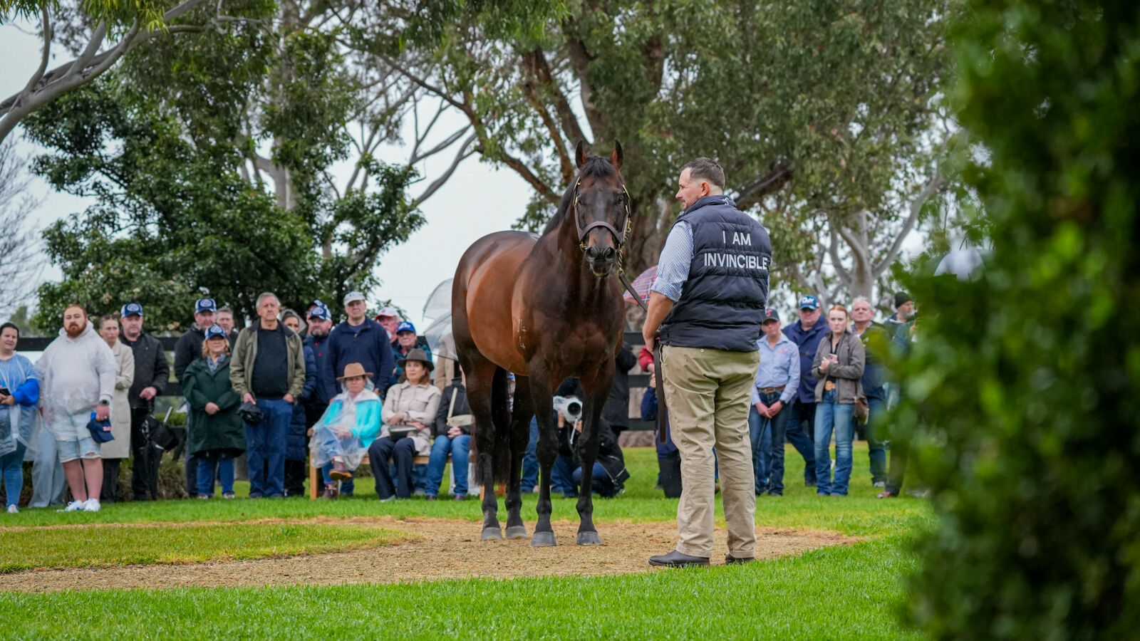 I Am Invincible Promising Debut Winner