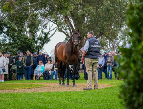 I Am Invincible Promising Debut Winner