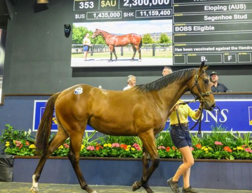 $2.3 million I Am Invincible filly stars at Magic Millions Day 2