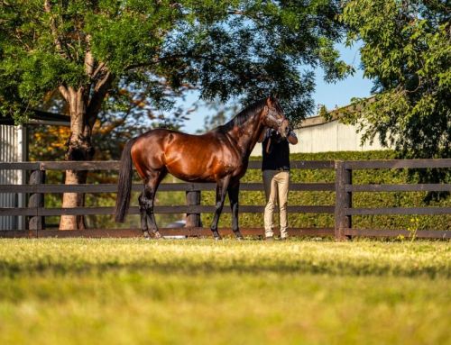 Blueblood I Am Invincible Filly Wins by Four