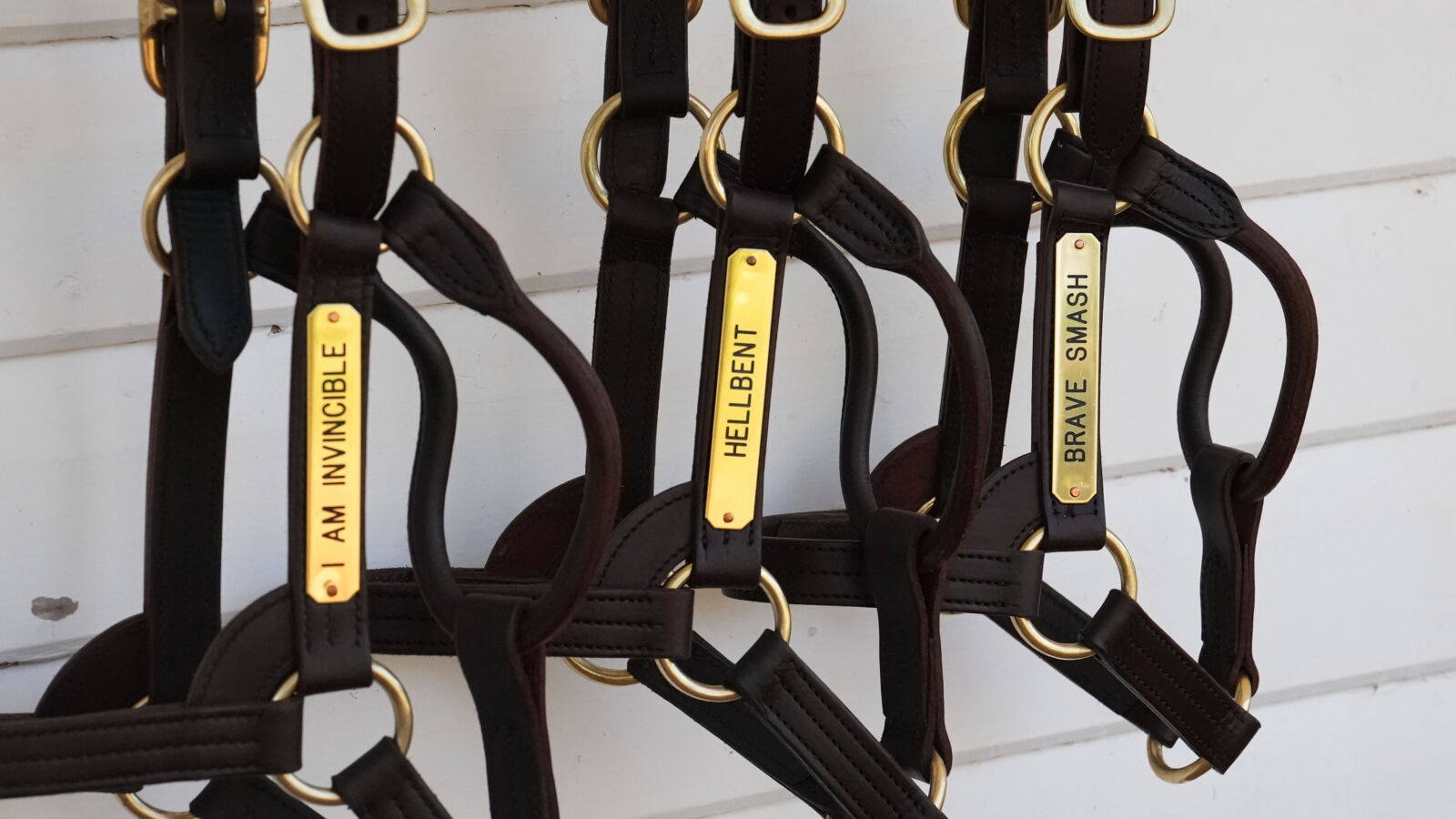 Yarraman Park release 2026 stallion fees