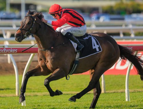 First Stakes success for Invincible sprinter