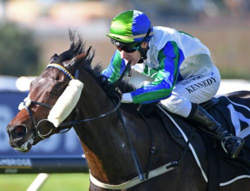 Impressive Yarraman-sold Juvenile Stakes winner
