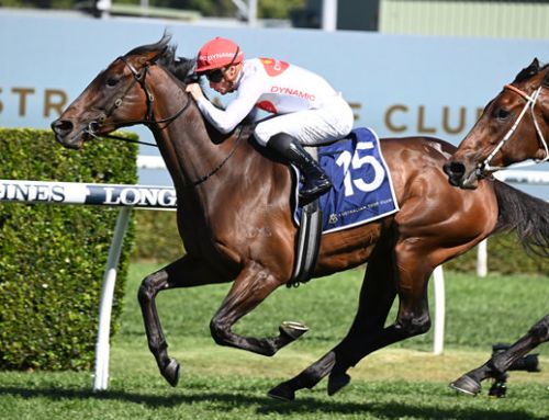 I Am Invincible Mare Selected for Everest