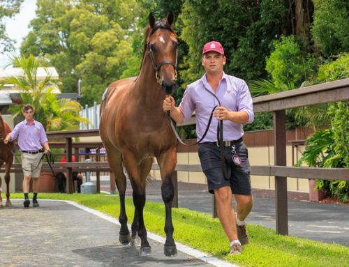 Perfect Start for $1.2 million I Am Invincible Filly