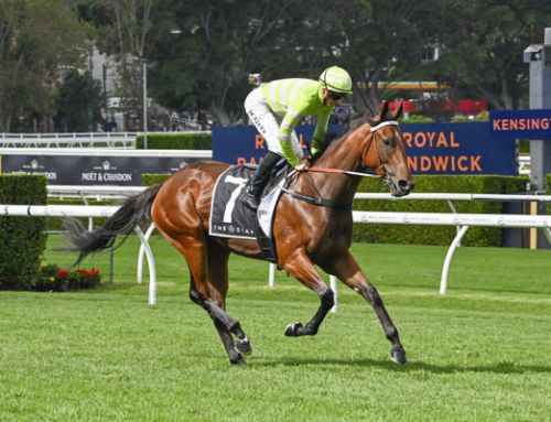 Hellbent filly bolts in by five!