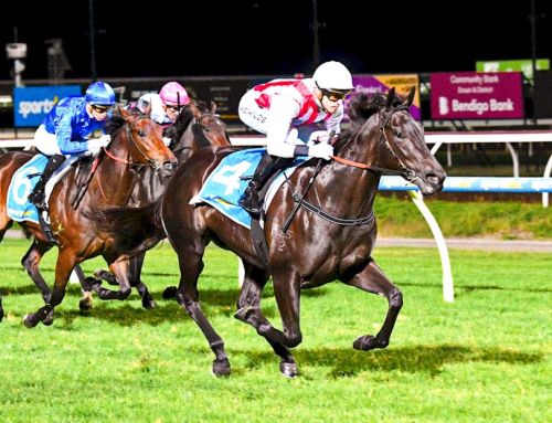 Brilliant debut win for Invincible Filly