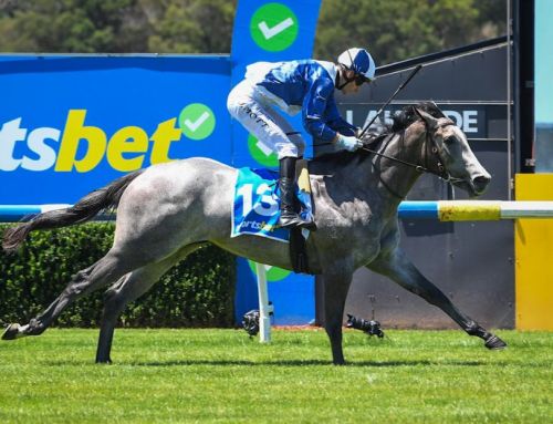 Invincible filly wins G3 Blue Diamond Preview on debut