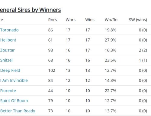 Five Winner Saturday for Hellbent